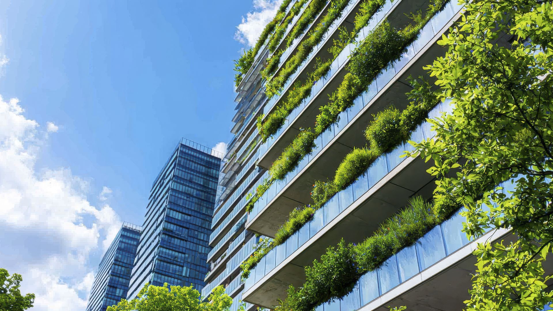Un futuro sostenibile per la nostra azienda e per il pianeta